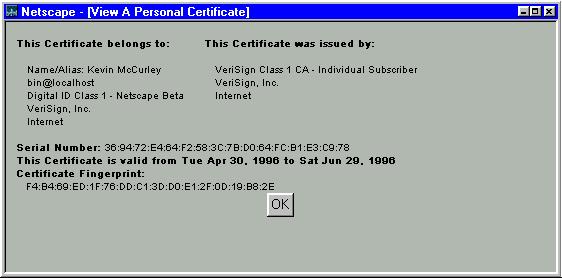 Netscape window